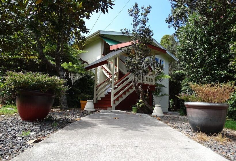 Panzió Volcano Hale