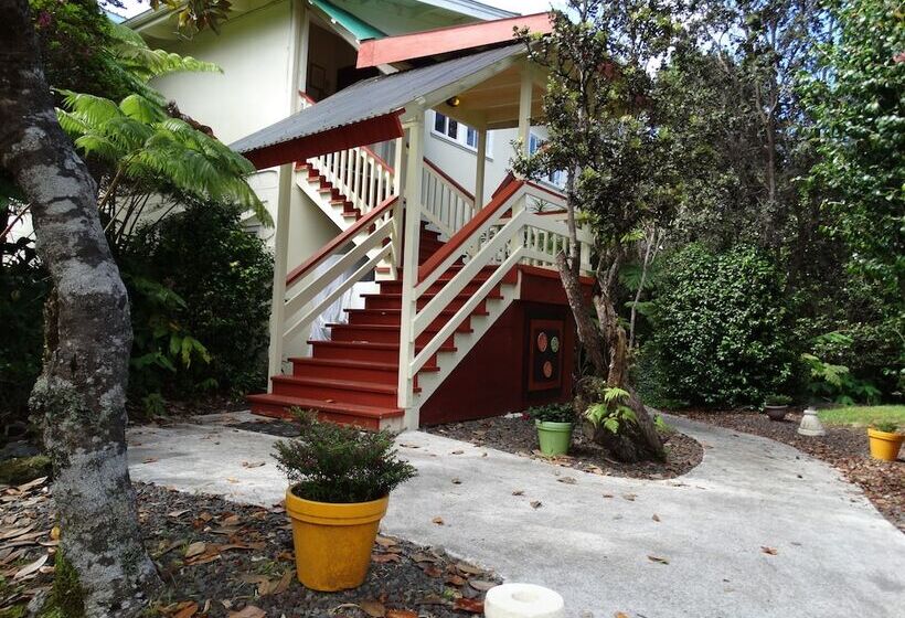 Panzió Volcano Hale