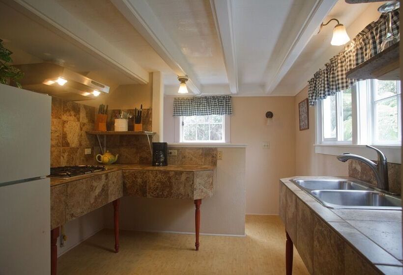 Panzió Volcano Hale