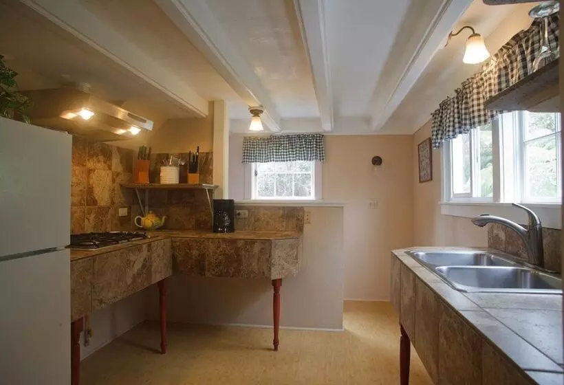 Majatalo Volcano Hale