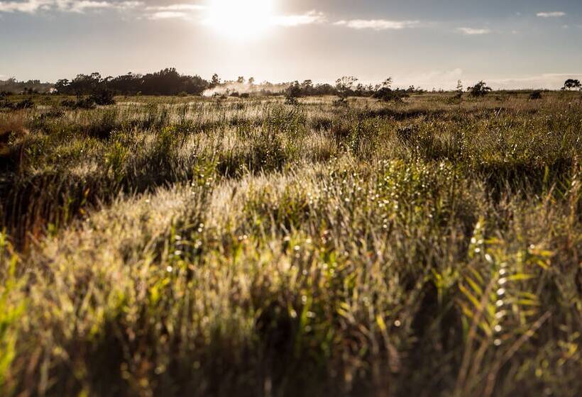 Panzió Volcano Hale