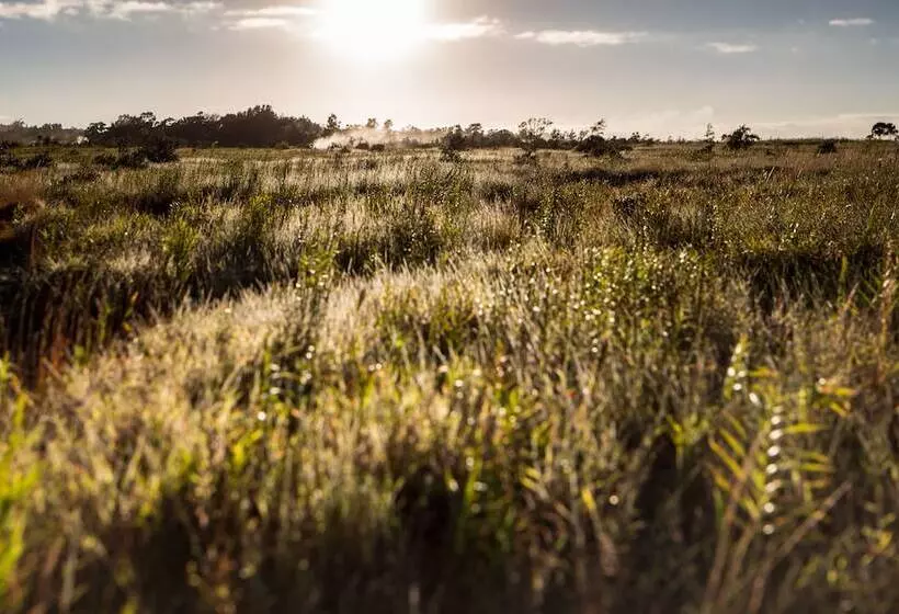 Majatalo Volcano Hale
