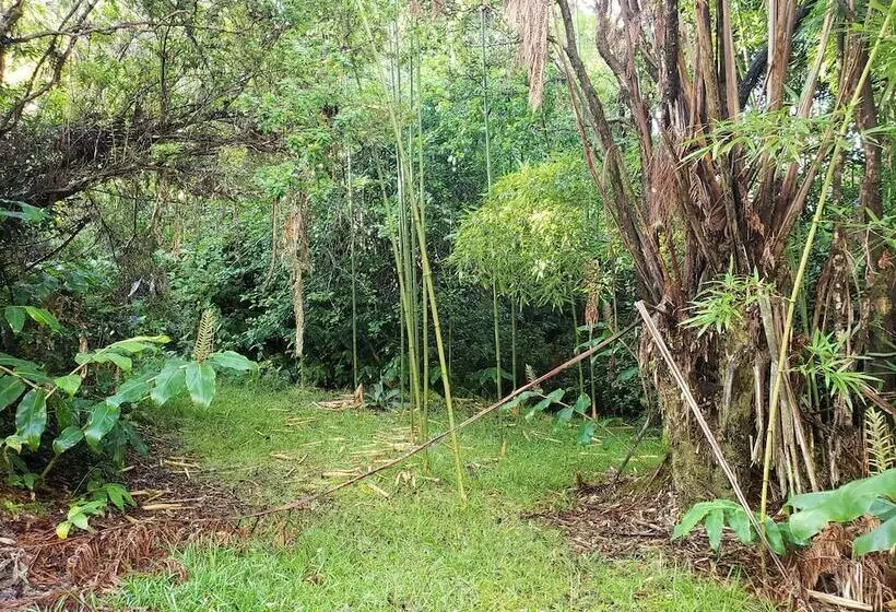 Majatalo Volcano Hale