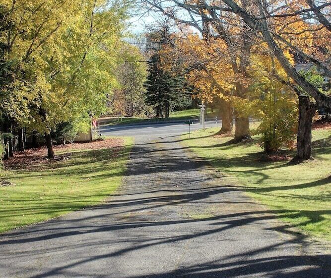 The Bradford House B&b