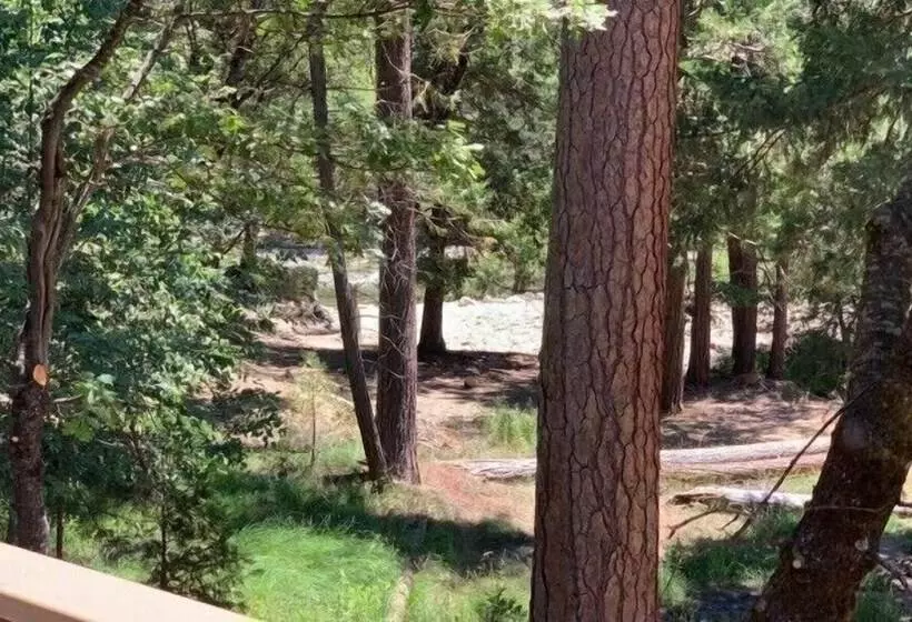 Yosemite Scenic Wonders Along The River