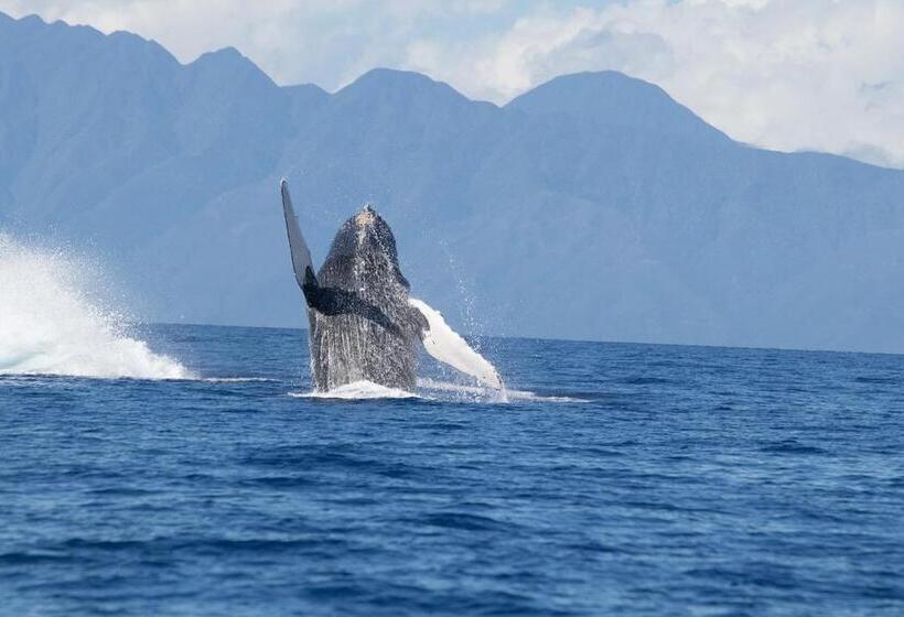 Ala Kai Bed And Breakfast