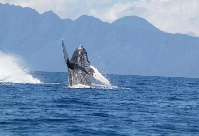 Ala Kai Bed And Breakfast