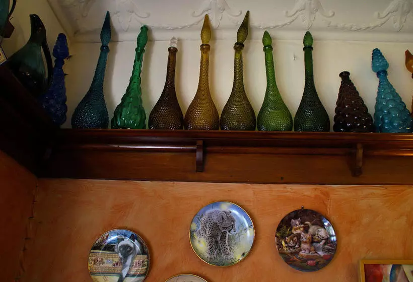 민박 Arden Street House