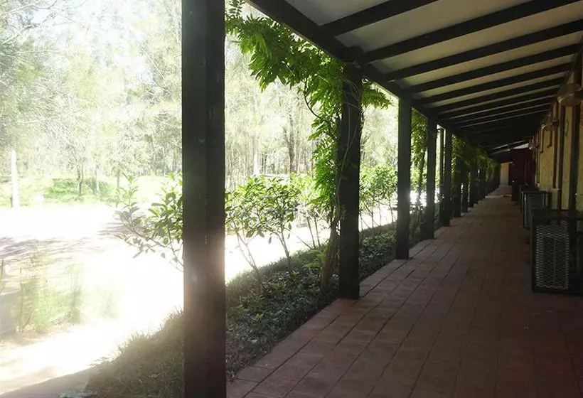 فندق على الطريق Casuarina Estate