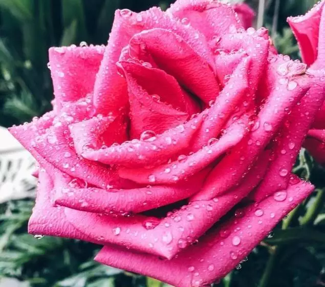 Childers Oasis Motel