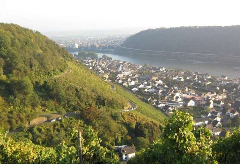 فندق Am Martinsberg