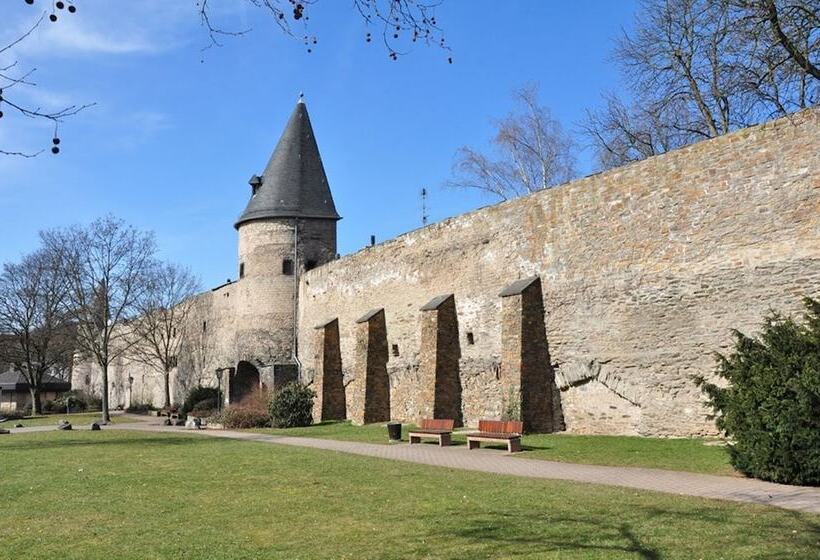 فندق Am Martinsberg