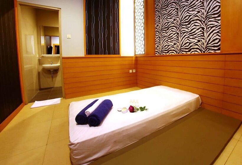 בית מלון כפרי Aswin