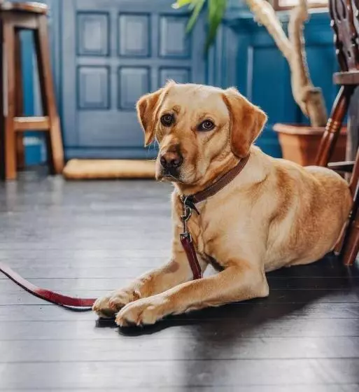 Hotel Inn At Port Nan Gael