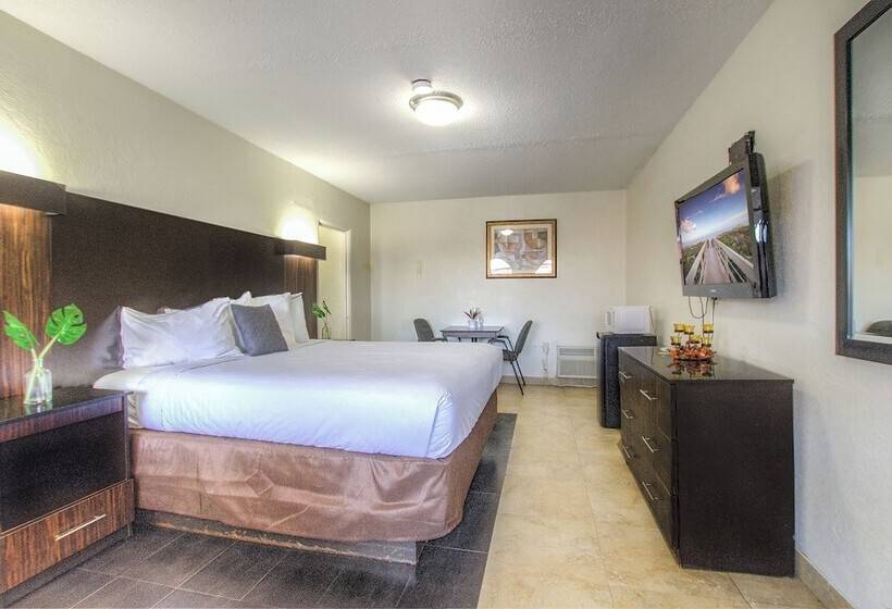 Otel La Bella Oceanfront Inn  Daytona