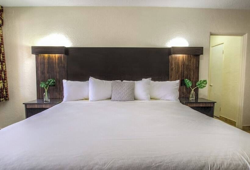 Otel La Bella Oceanfront Inn  Daytona