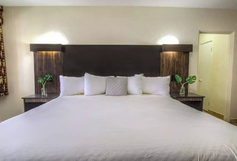 Hotelli La Bella Oceanfront Inn  Daytona