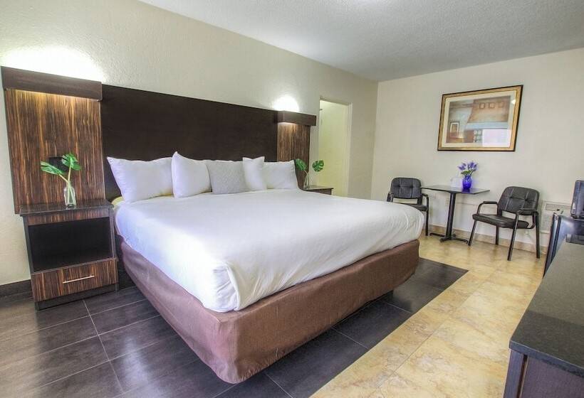 Otel La Bella Oceanfront Inn  Daytona