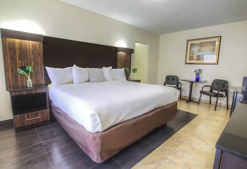 Hotelli La Bella Oceanfront Inn  Daytona