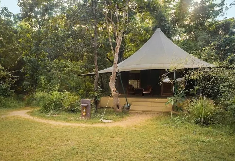 ホテル Pench Jungle Camp