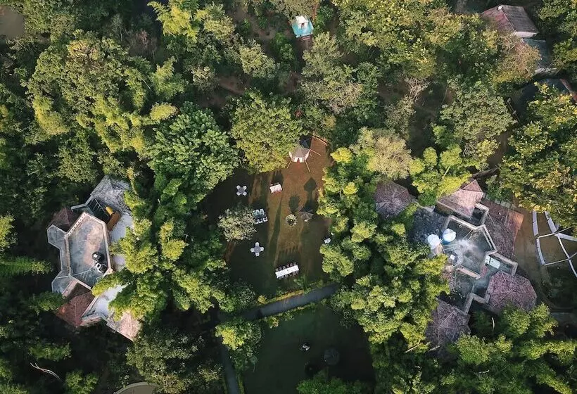 ホテル Pench Jungle Camp