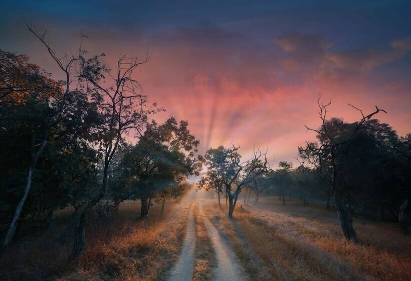 호텔 Pench Jungle Camp