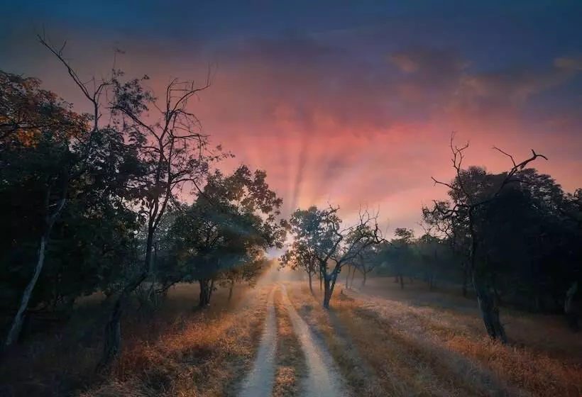 ホテル Pench Jungle Camp