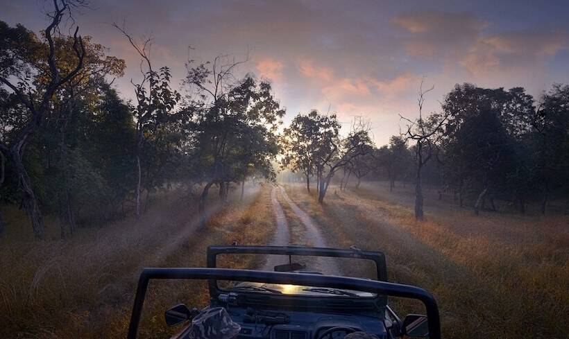 호텔 Pench Jungle Camp