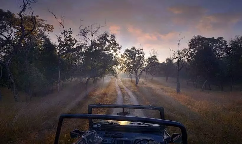 ホテル Pench Jungle Camp