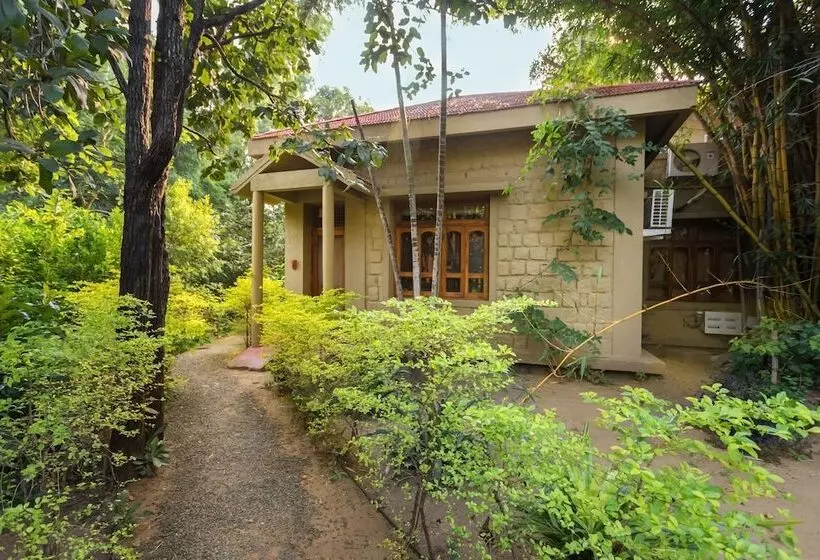 ホテル Pench Jungle Camp