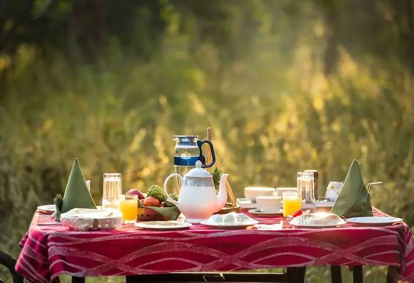 ホテル Pench Jungle Camp