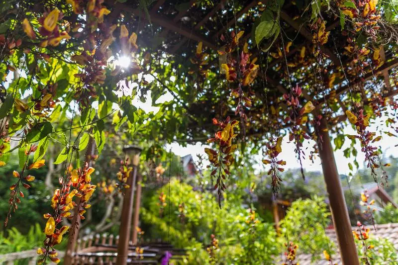 Hotel Zen Valley Dalat