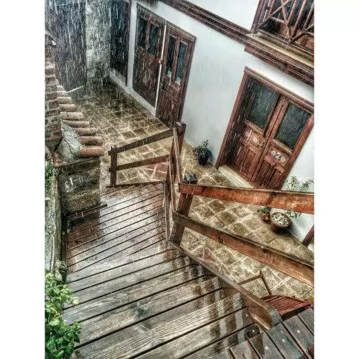 פנסיון Amazon Petite Palace