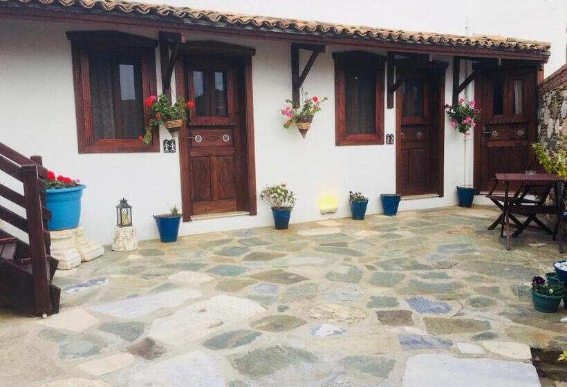 بنسيون Amazon Petite Palace