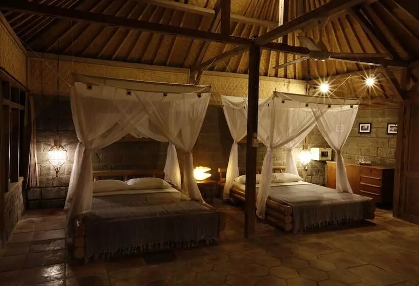 Pondok Pitaya Hotel, Surfing & Yoga