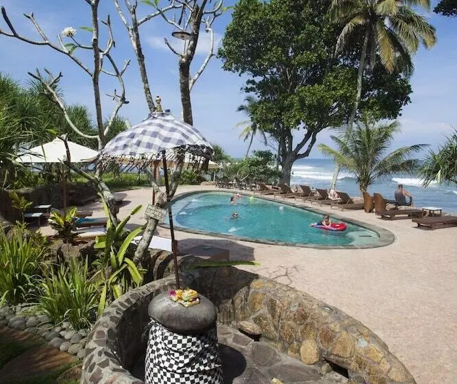 Pondok Pitaya Hotel, Surfing & Yoga