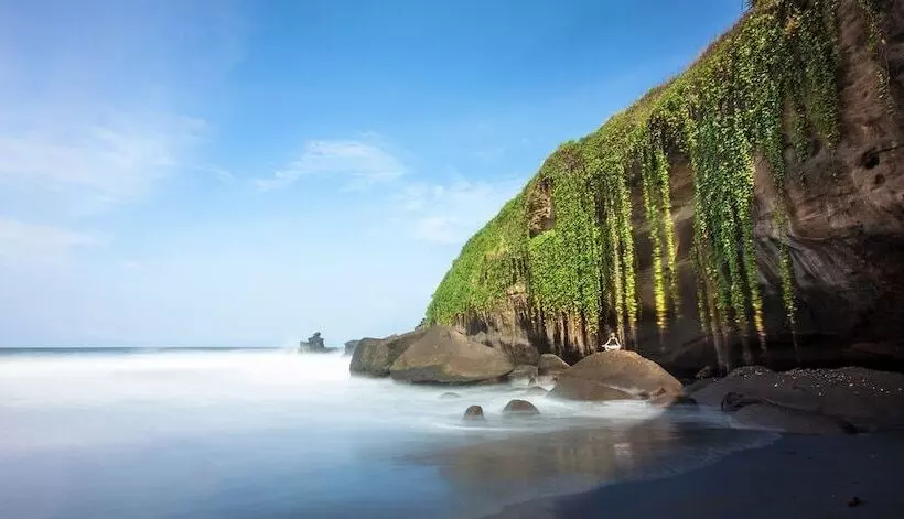 Pondok Pitaya Hotel, Surfing & Yoga