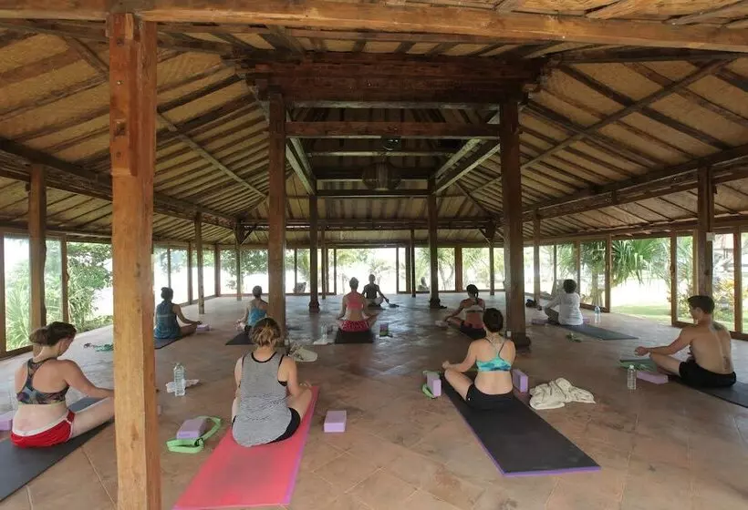 Pondok Pitaya Hotel, Surfing & Yoga