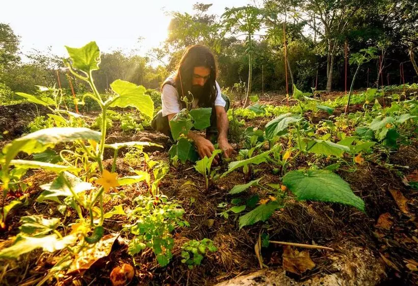 酒店 Buzios Espiritualidade