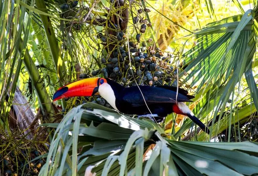 酒店 Buzios Espiritualidade