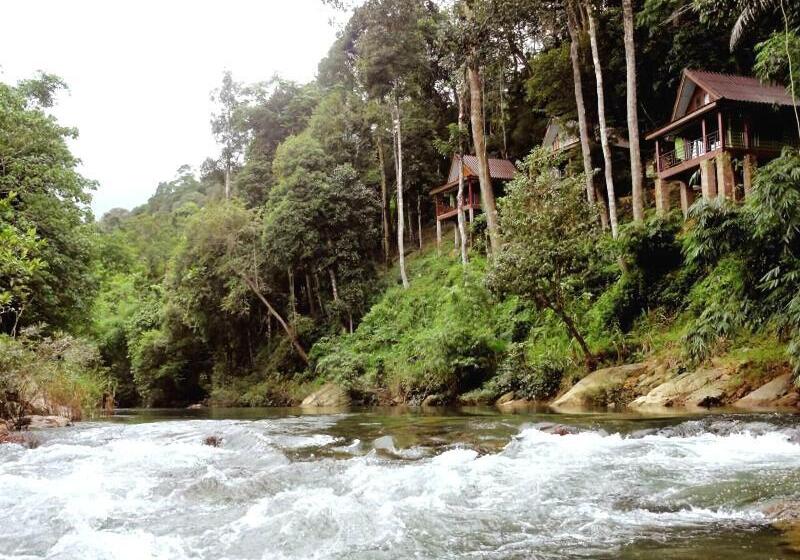 Отель Khaosok Rainforest Resort