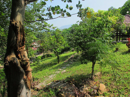 酒店 Lhongkhao Resort