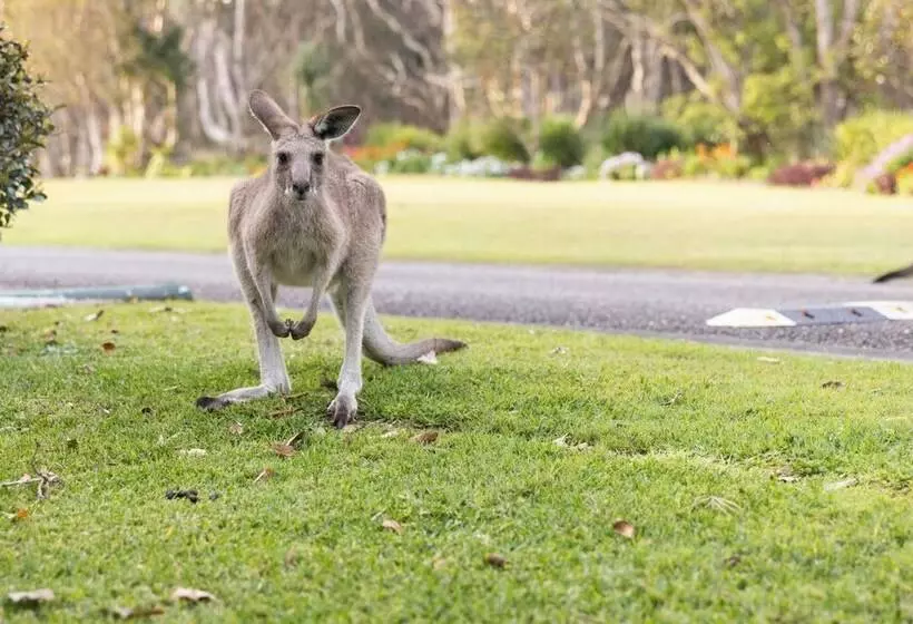 Отель Reflections North Haven   Holiday Park