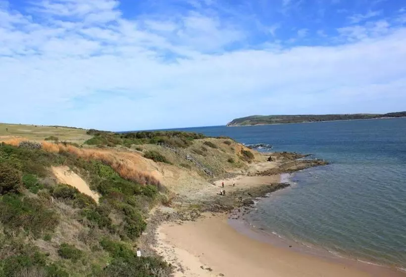 Pelicans Motel San Remo