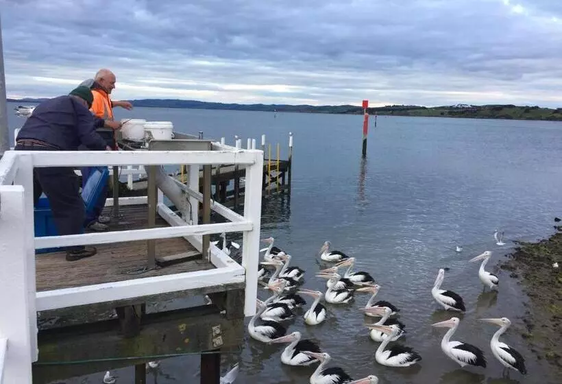 Pelicans Motel San Remo