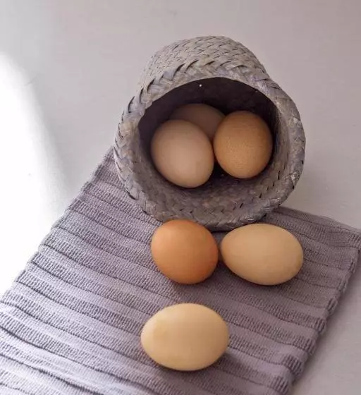 Пансион Mykonos No5 Luxury Suites & Villas