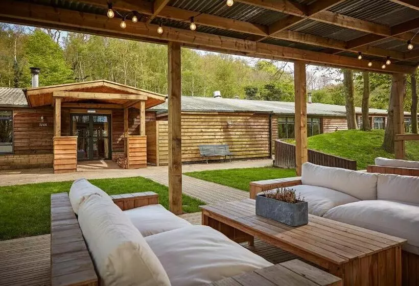 פנסיון The Fish