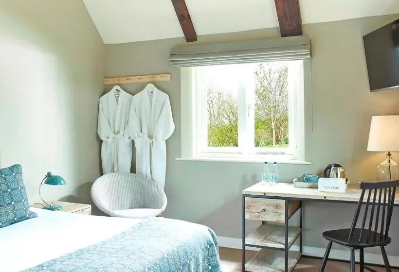 פנסיון The Fish