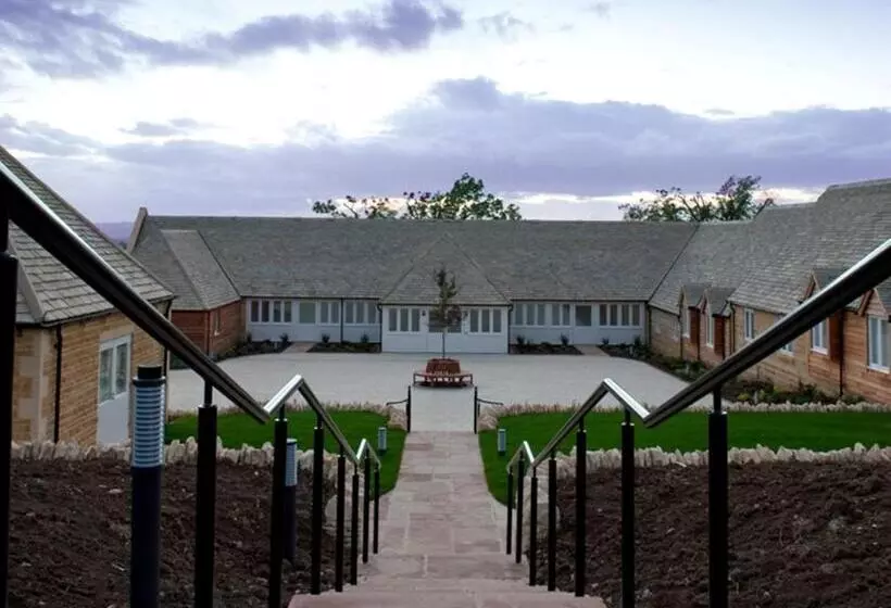 פנסיון The Fish