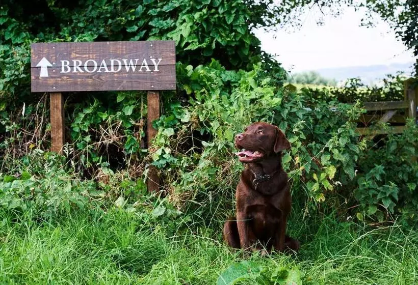 פנסיון The Fish